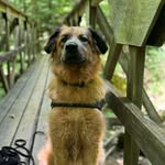 Connor Smiley - @thedaily_dale - Instagram