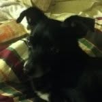 Connor Sneed - @dogeking_ - Instagram