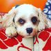Connor Soares - Facebook