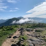 Connor Soukup - @connor_soukup - Instagram