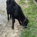 Connor Stapleton - Facebook