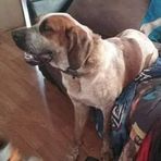 Conner Stark - Facebook