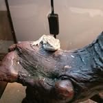 Connor Stark - @connor.stark.370 - Instagram