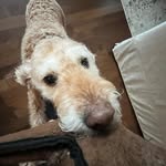 Connor - @connorstarr1 - Instagram