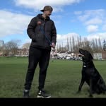Connor Steers - @steersconnor - Instagram
