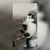 Connor Stephens - @connor.stephens7 - TikTok