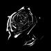 Connor Sterling - Facebook