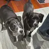 CoNnOr_RiStIcH - @connorrichtit - TikTok