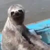 connorstokes83 - @connorstokes83 - TikTok