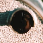 Connor Strain - @straingerstudio - Instagram