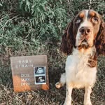 Connor Strain - @connor.strain2234 - Instagram