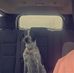 Connor Stratton - Facebook