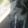 Connor Swartz - @connor.swartz0 - TikTok
