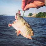 Connor Swartz - @swartzconnor - Instagram