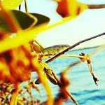 Connor - @_connor_talbott - Instagram