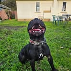 Connor Tanner - Facebook