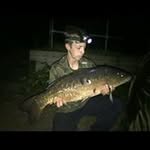 Connor Tanner - @connor.tanner.54 - Instagram