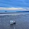 connor_thorp - @connor_thorp - TikTok