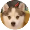 connortinker - @connortinker - TikTok