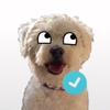 connortinker - @doggosplush - TikTok