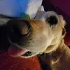 Connor Tobin - @webmonkey1025 - TikTok