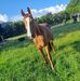 Conor Tobin - Facebook