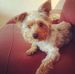 Tracy Connor - Facebook