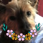 Conner Tribble - Facebook
