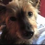 Conner Tribble - Facebook