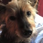 Conner Tribble - Facebook