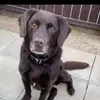 Connor Trigg - @connor.trigg08 - TikTok