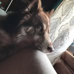 Connor - @connortrudeau850 - Instagram
