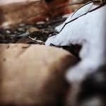 Connor Trudeau - @conn.ortrudeau - Instagram