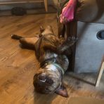 Konnor Wade - Facebook