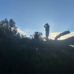 Connor Warner - @theyfwconnor1 - Instagram