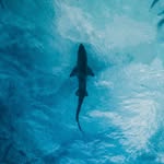 Connor Warner - @connorwarnerphotography - Instagram