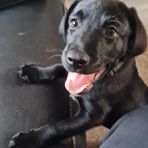 Connor Willis - Facebook