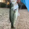 Connor.willis5 - @connor.willis5 - TikTok