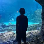 Connor Wolfe - @connor_wolfe05 - Instagram