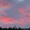 Connor Wolfe - @connor.wolfe1 - TikTok