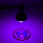 Connor Wright - @byconnorwright - Instagram