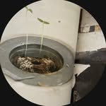 connor wright - @connorwr0ng - Instagram