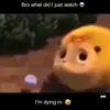 Connor Wright - @connor.wright025 - TikTok