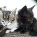 Conny Wulff - Facebook