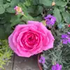 Conor Barrett - @user141131863 - TikTok