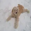 Conor Berry - @conor.berry - TikTok