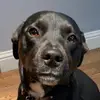 Connor bray - @connor.bray.priv - TikTok
