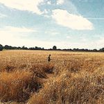 Conor Broderick - @broderick.conor - Instagram