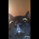 Connor Browning - @connorbrowning6 - Instagram