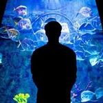 Conor Callaghan - @conor7996 - Instagram